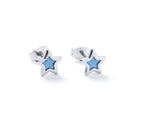 Silver Plated Stud Earrings