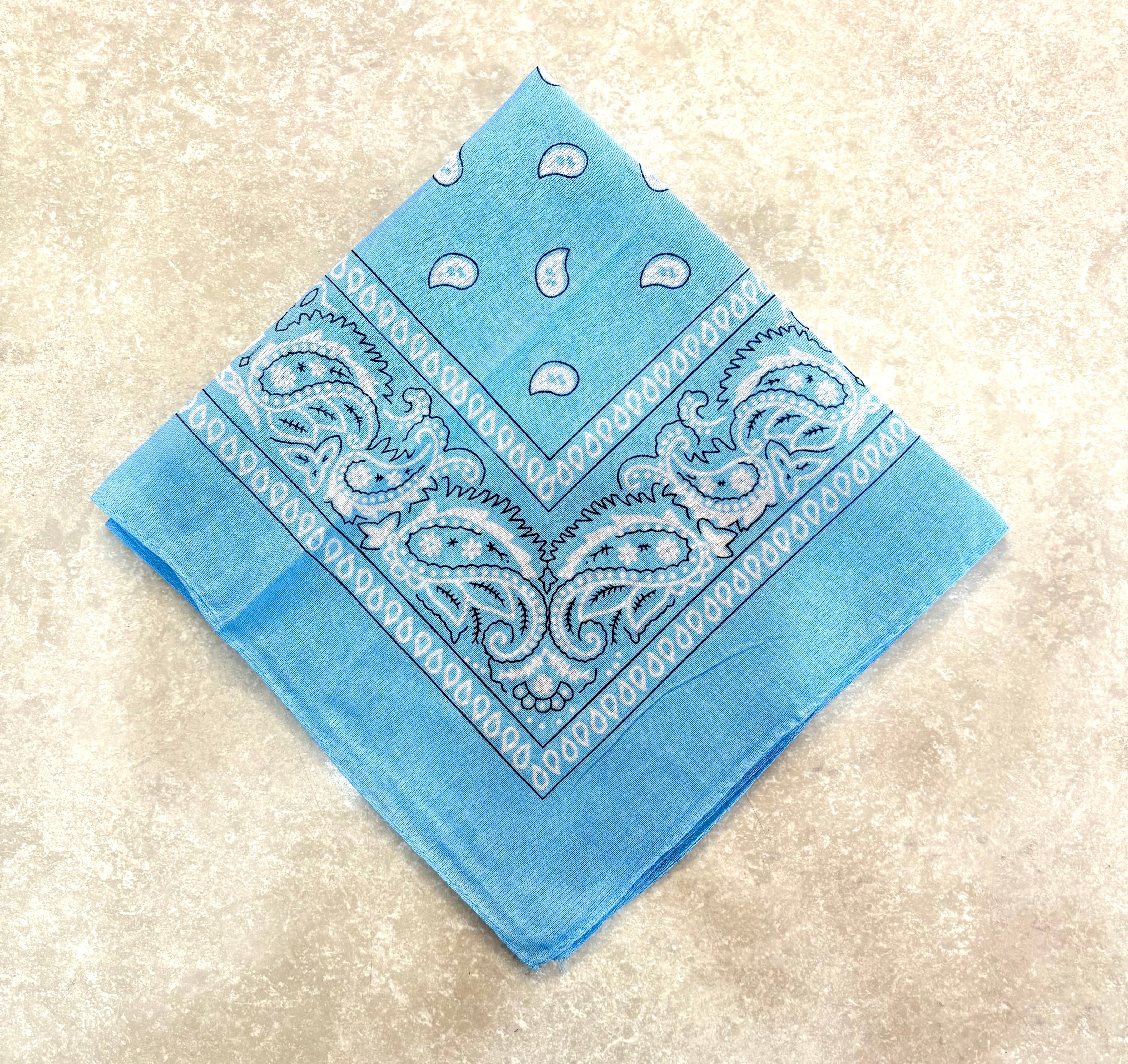 Paisley Bandana Head/Neck Scarf