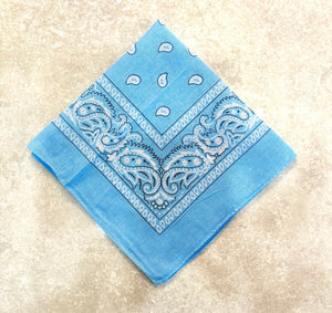 Paisley Bandana Head/Neck Scarf