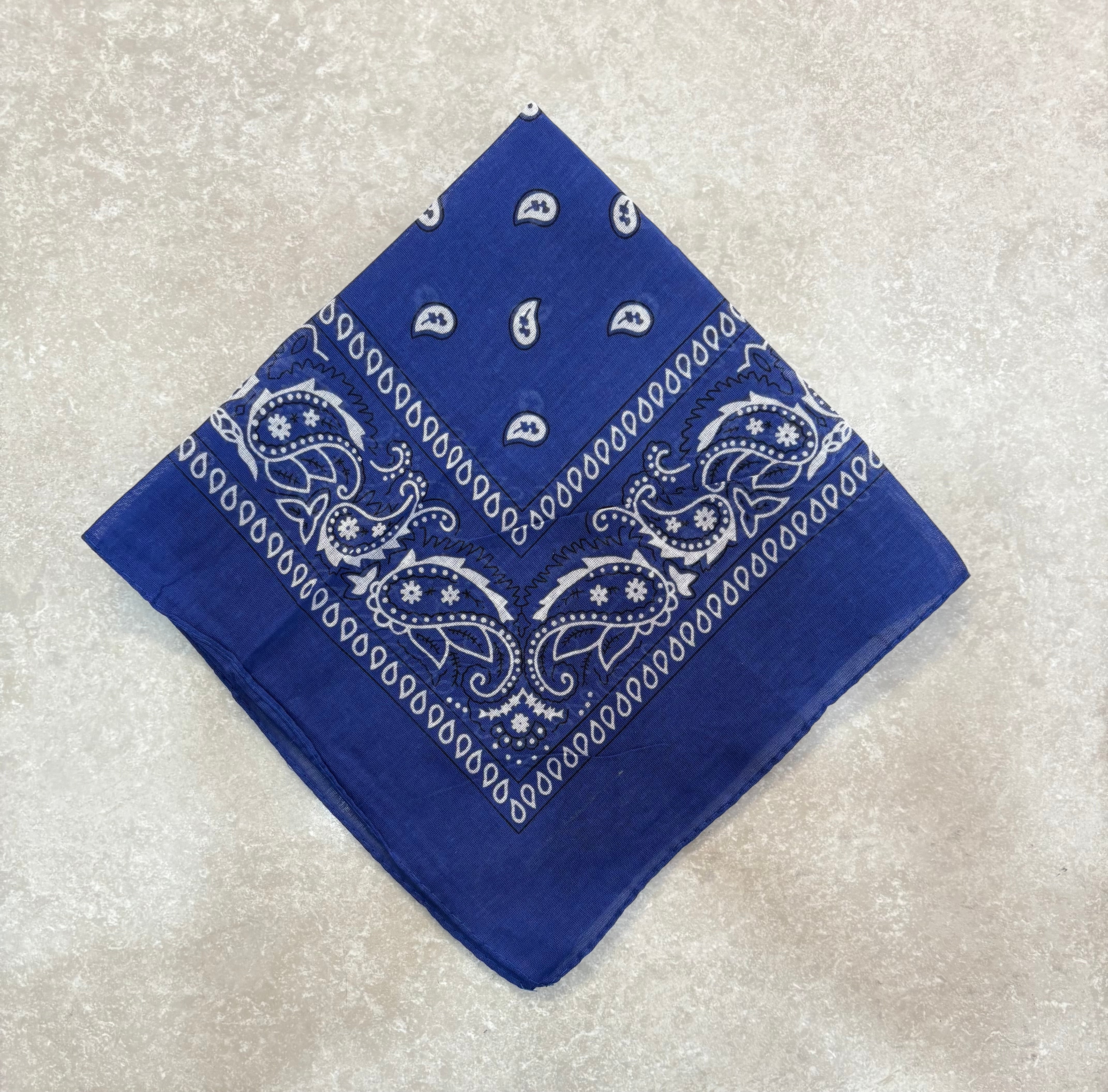 Paisley Bandana Head/Neck Scarf