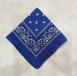 Paisley Bandana Head/Neck Scarf