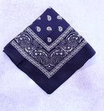 Paisley Bandana Head/Neck Scarf