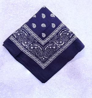 Paisley Bandana Head/Neck Scarf
