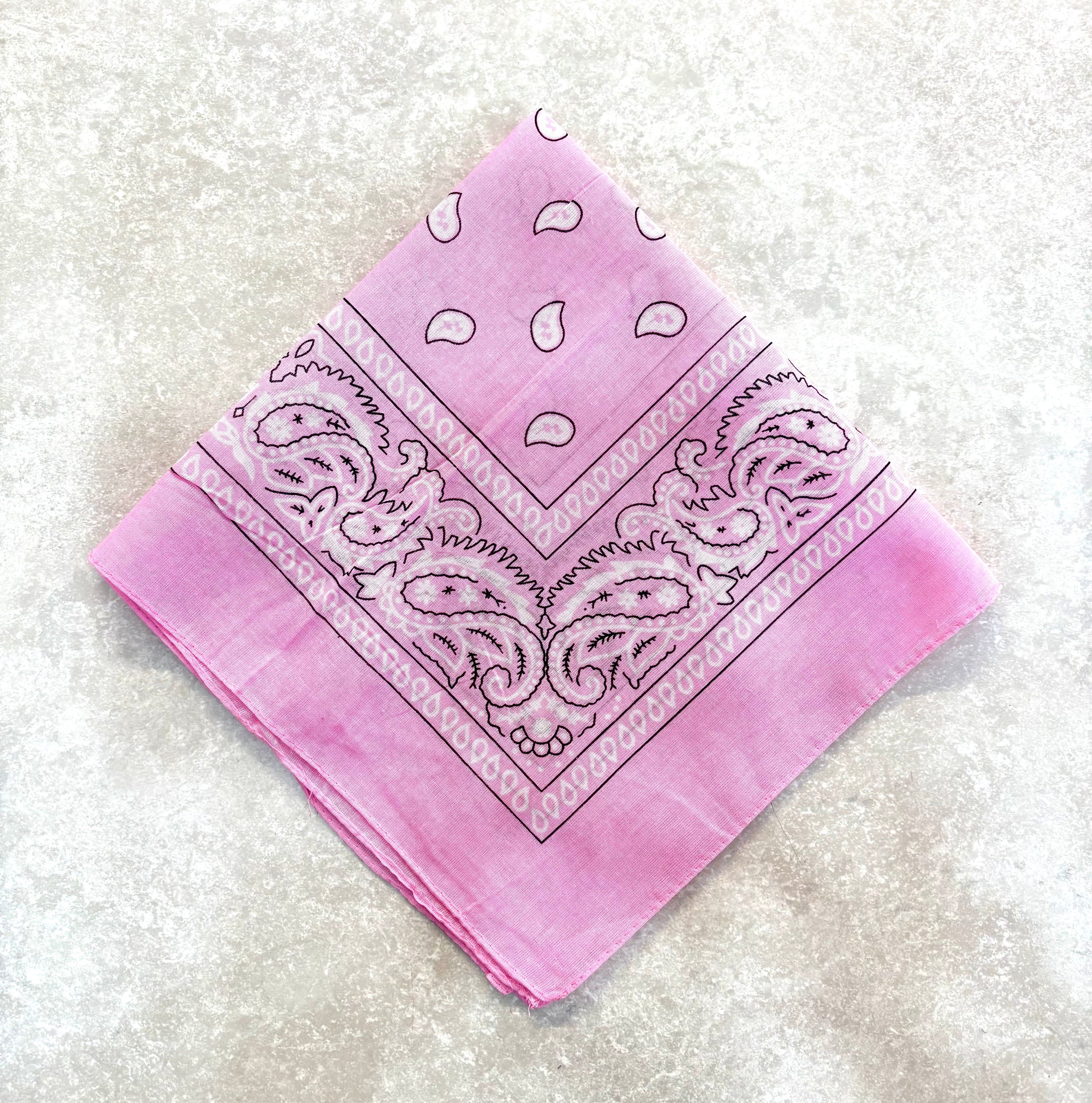 Paisley Bandana Head/Neck Scarf