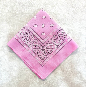 Paisley Bandana Head/Neck Scarf