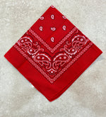 Paisley Bandana Head/Neck Scarf