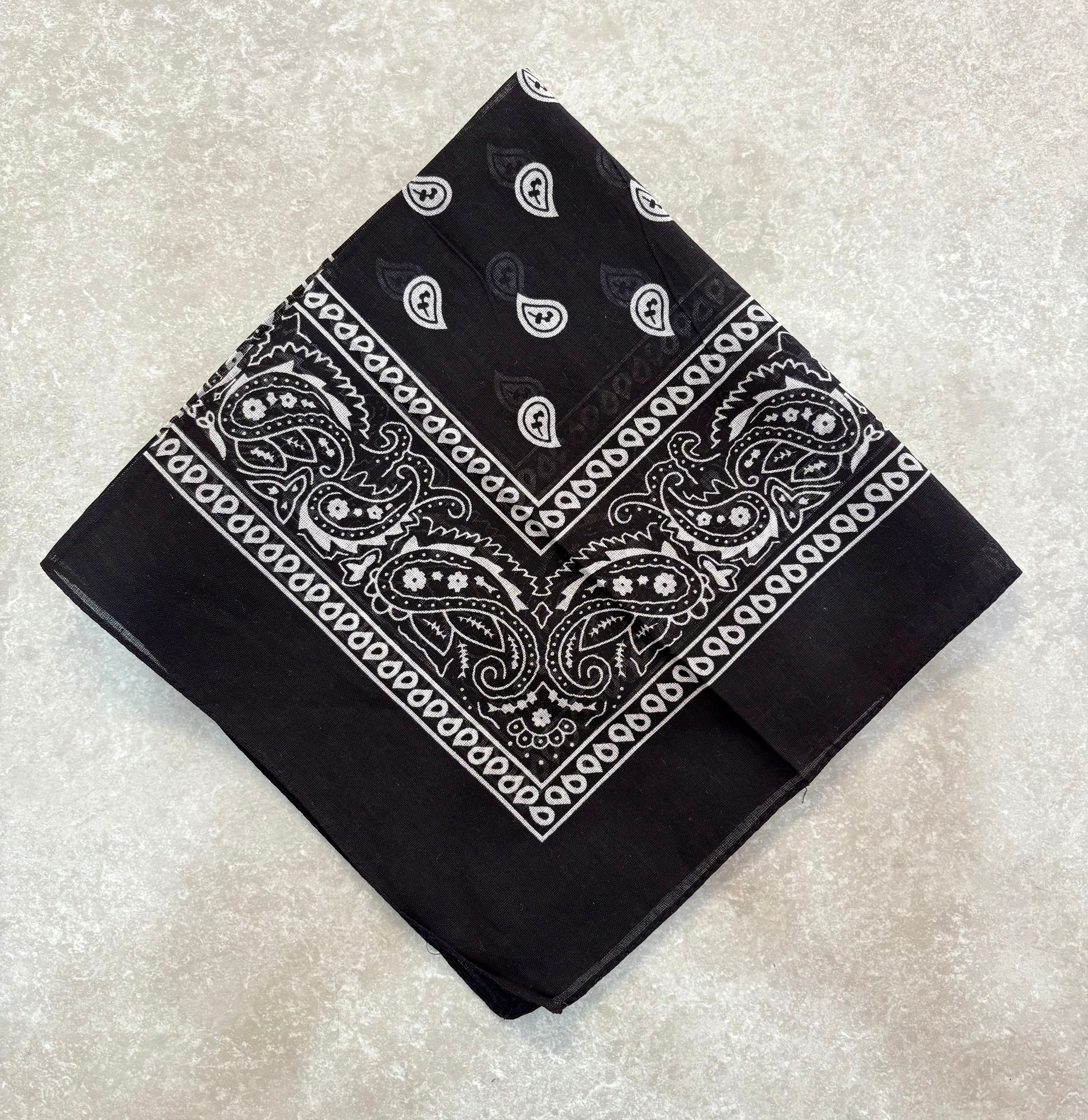 Paisley Bandana Head/Neck Scarf