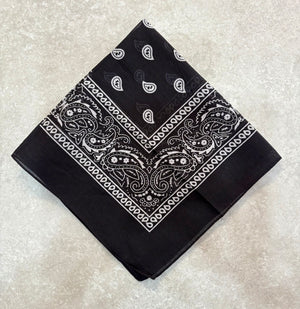 Paisley Bandana Head/Neck Scarf