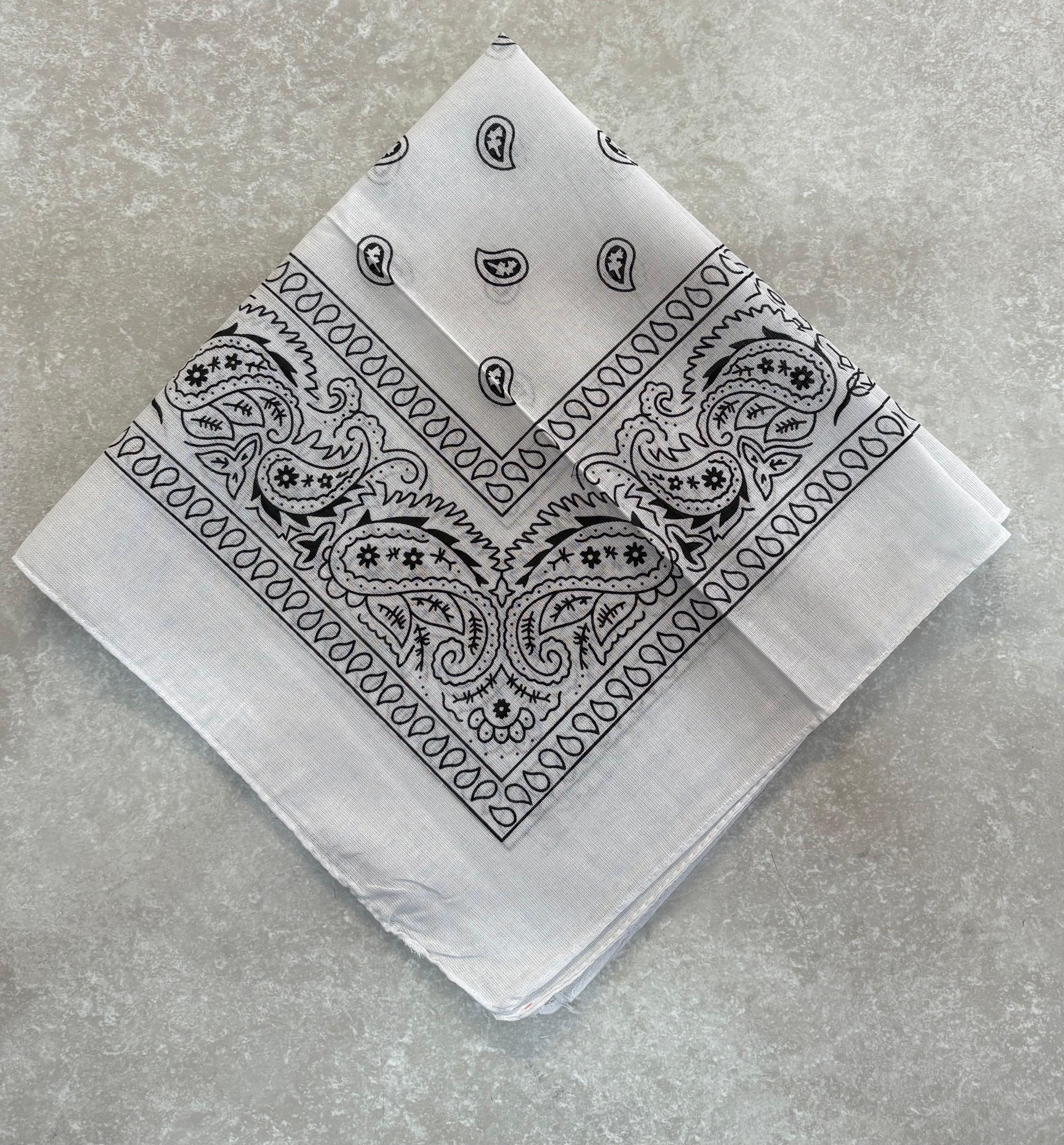 Paisley Bandana Head/Neck Scarf