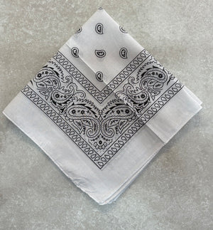Paisley Bandana Head/Neck Scarf