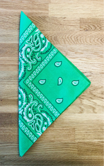 Paisley Bandana Head/Neck Scarf