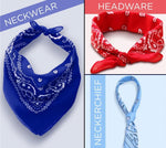 Paisley Bandana Head/Neck Scarf