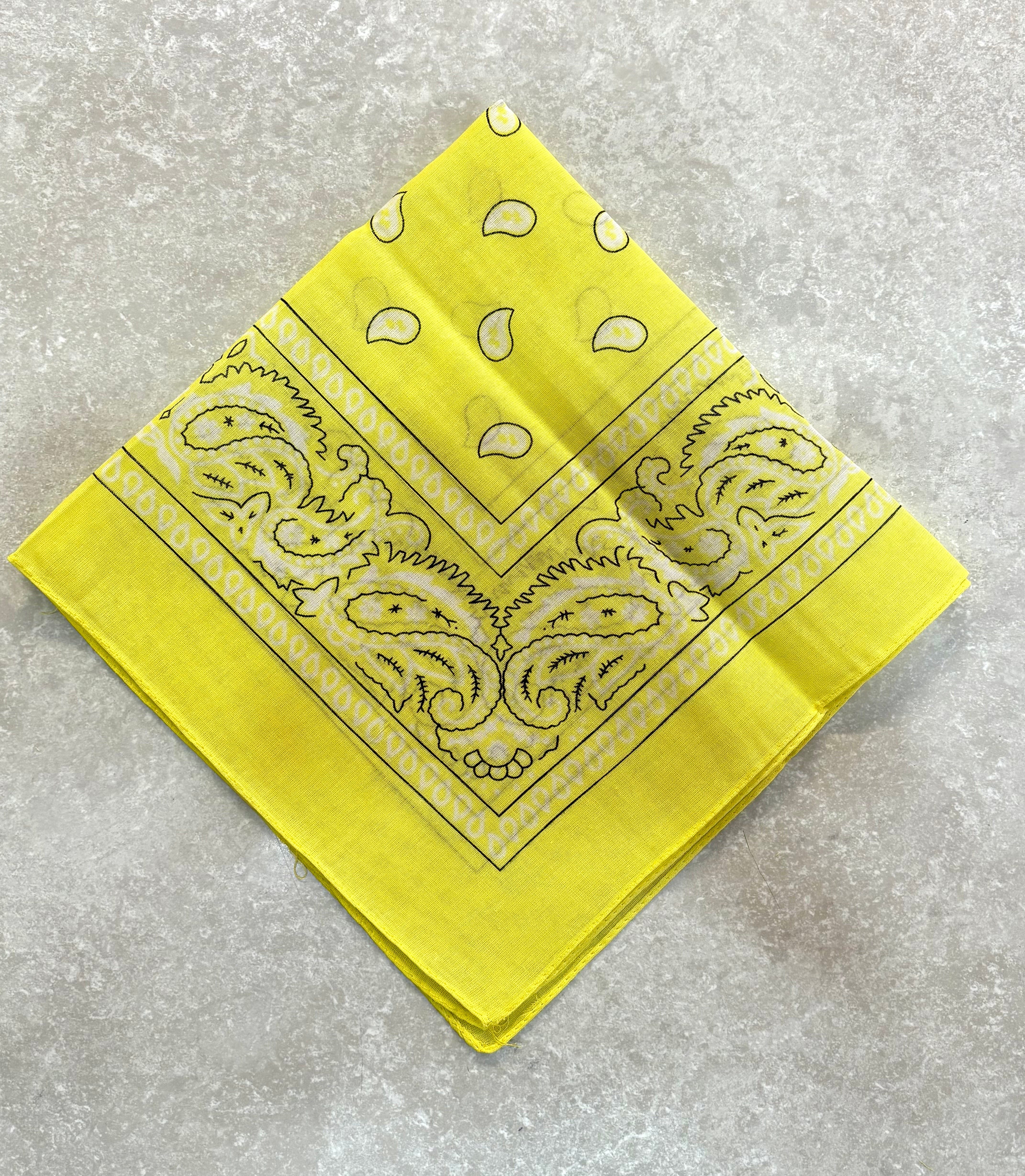 Paisley Bandana Head/Neck Scarf