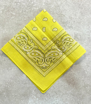 Paisley Bandana Head/Neck Scarf