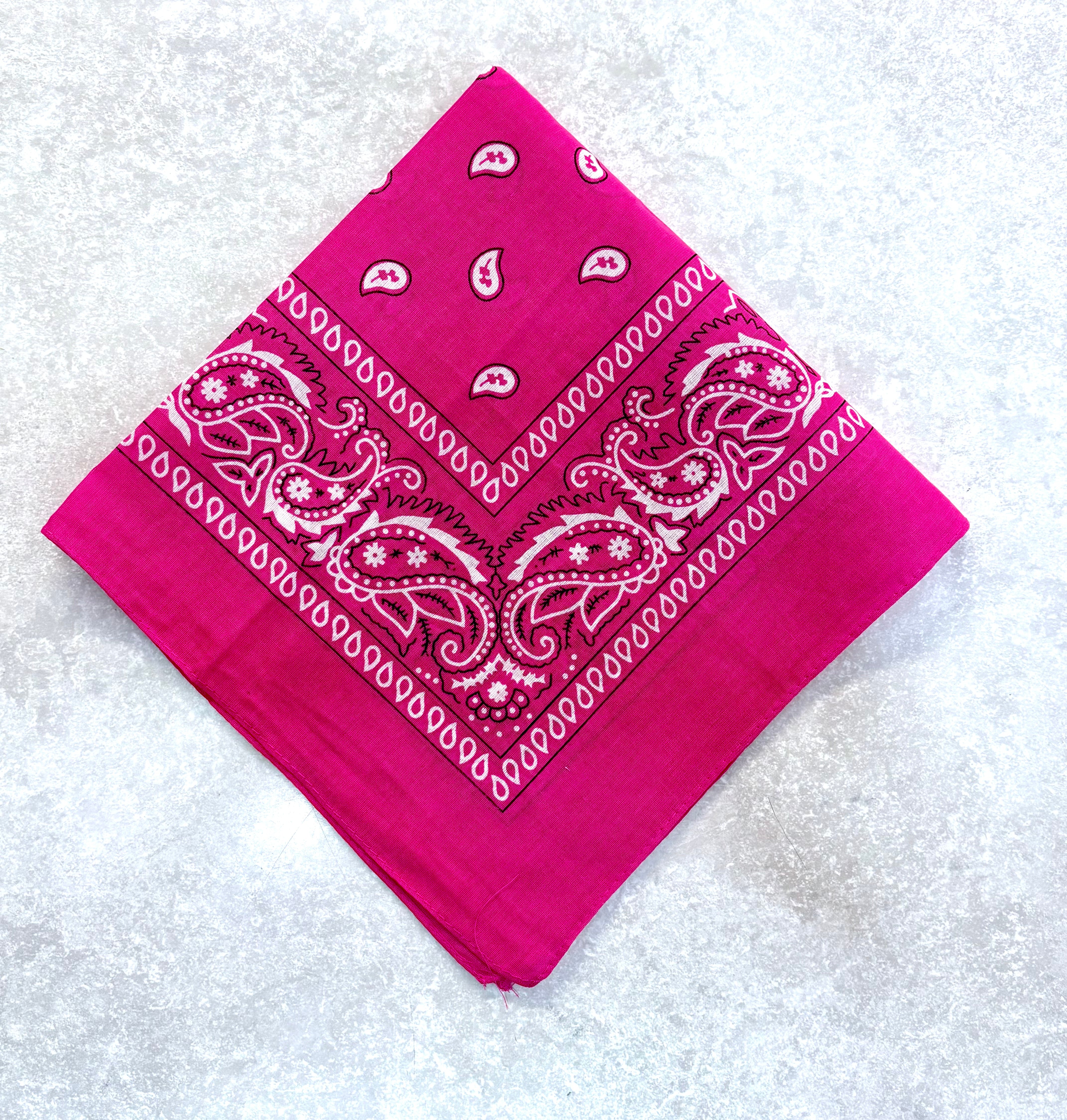 Paisley Bandana Head/Neck Scarf