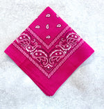 Paisley Bandana Head/Neck Scarf