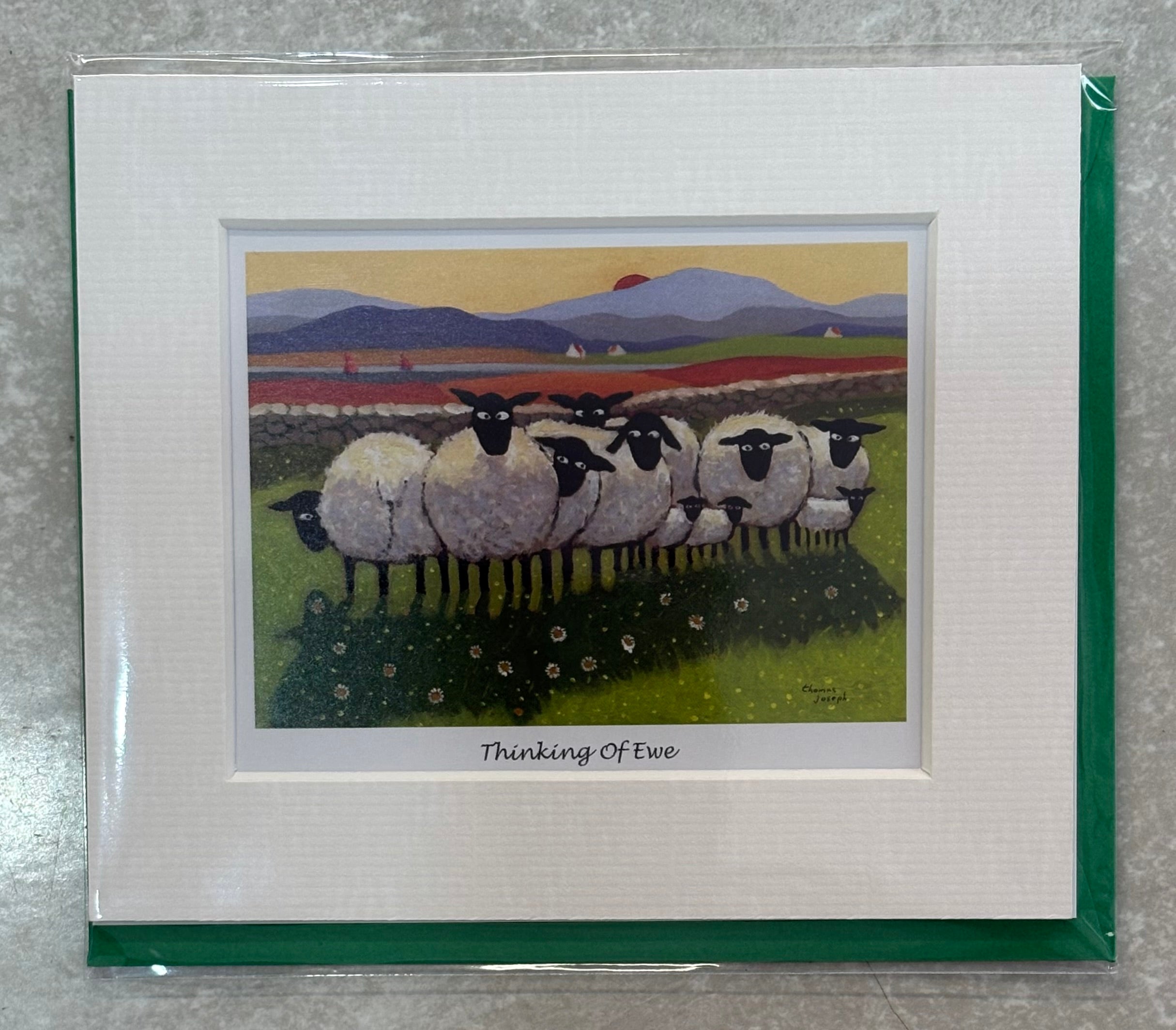 Greeting Cards with attached Mount by Thomas Joseph