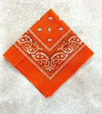 Paisley Bandana Head/Neck Scarf