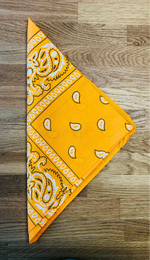 Paisley Bandana Head/Neck Scarf