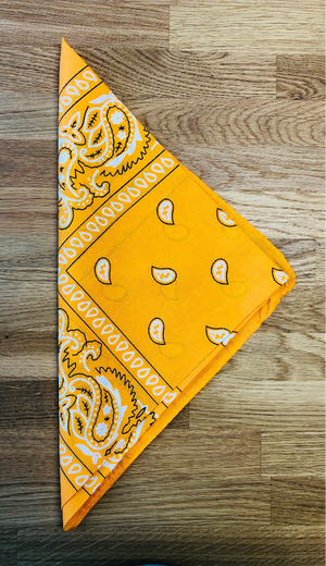 Paisley Bandana Head/Neck Scarf