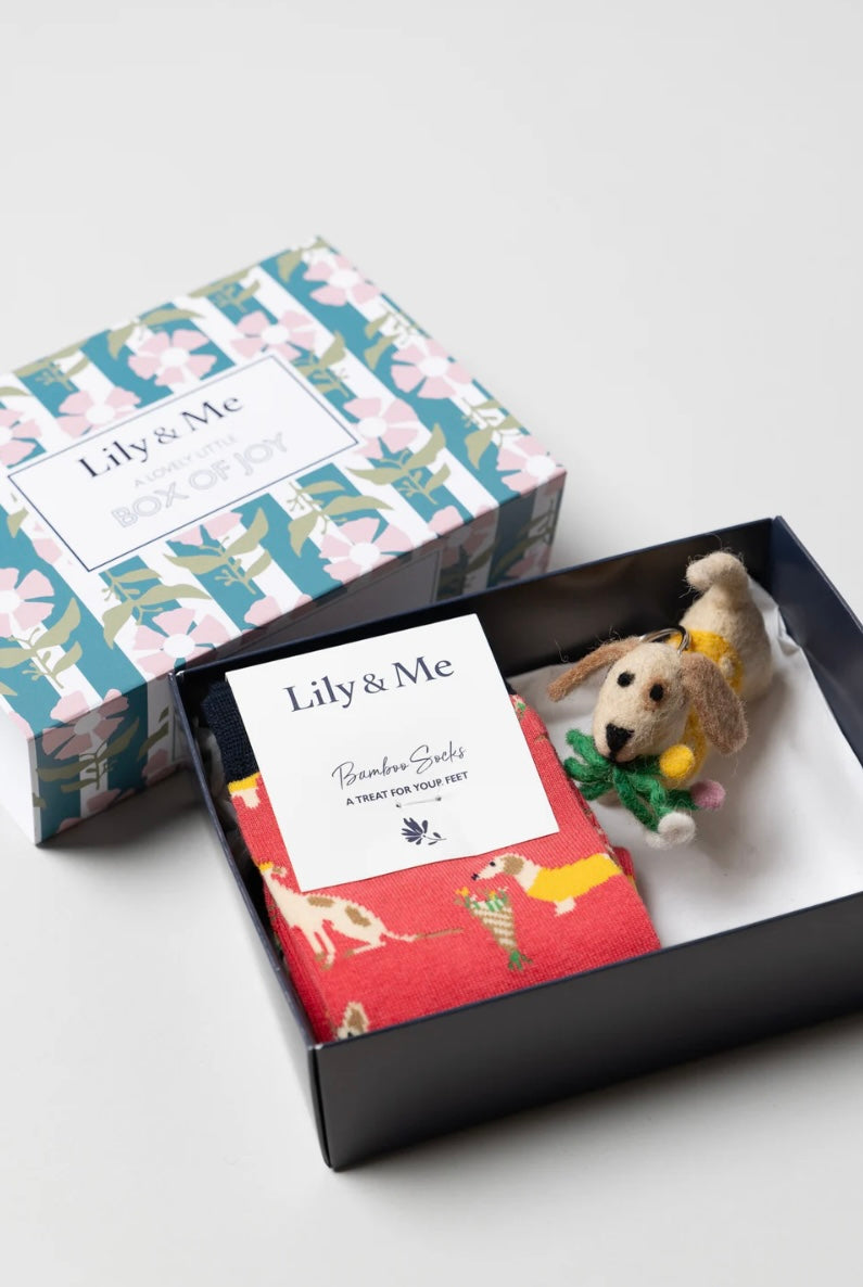 LM25177 DAISY DOG SOCKS AND KEYRING GIFTBOX