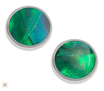 Green Paua Round Stud Earrings