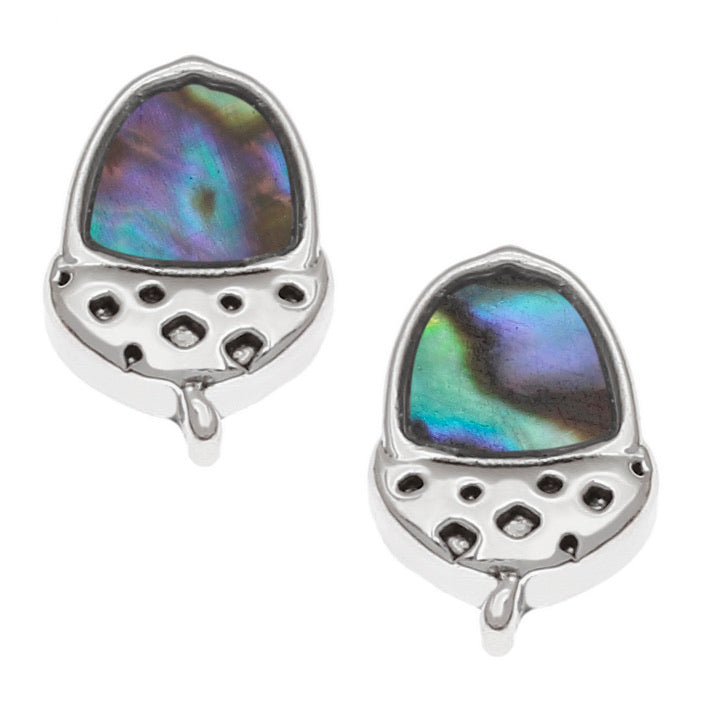 Paua Shell Acorn Stud Earrings