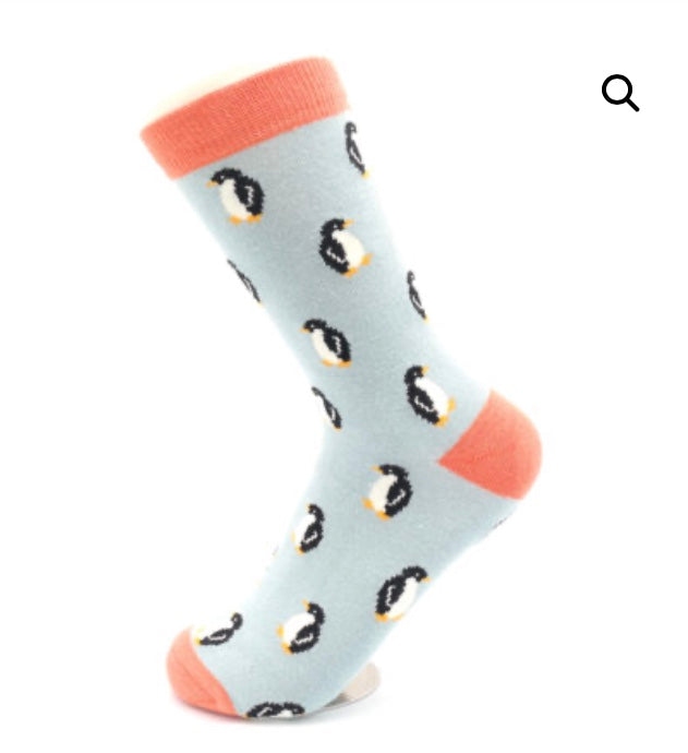Little Penguins Socks Duck Egg