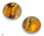 Tj602 Paua Shell Round Stud Earrings
