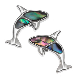 Paua Shell Orca Stud Earrings