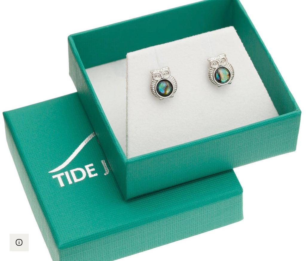 Paua Shell Owl Earrings