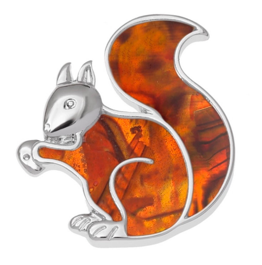 Amber Paua Shell Red Squirrel Pin Brooch