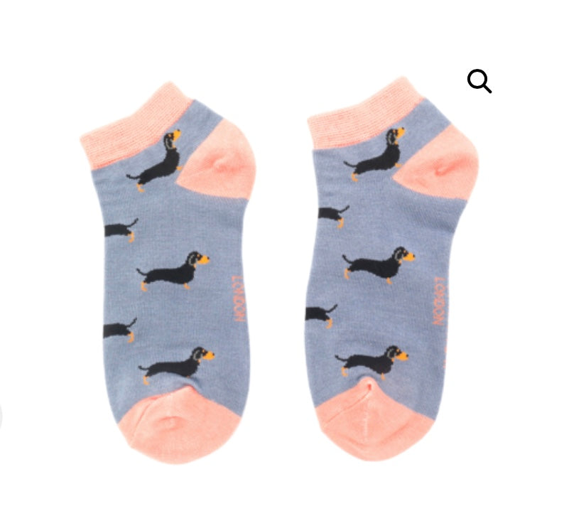 Little Sausage Dig Trainer Socks