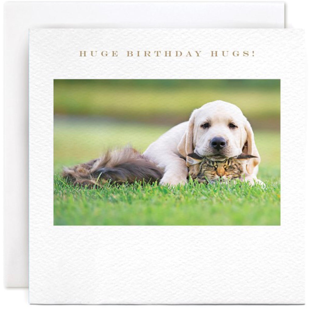 Susan Ohanlon Greeting Card Collection